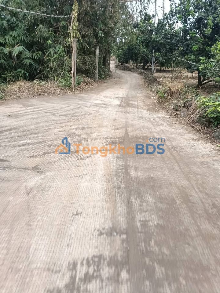 Đất nền Hưng Thịnh 14.625 tỷ - Hạ tầng hoàn thiện