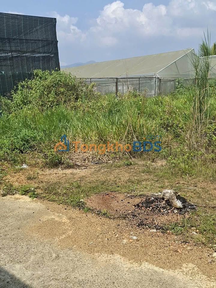 Đất nền Ngô Tất Tố Bảo Lộc 450m² 2.003 tỷ - Sổ đỏ chính chủ