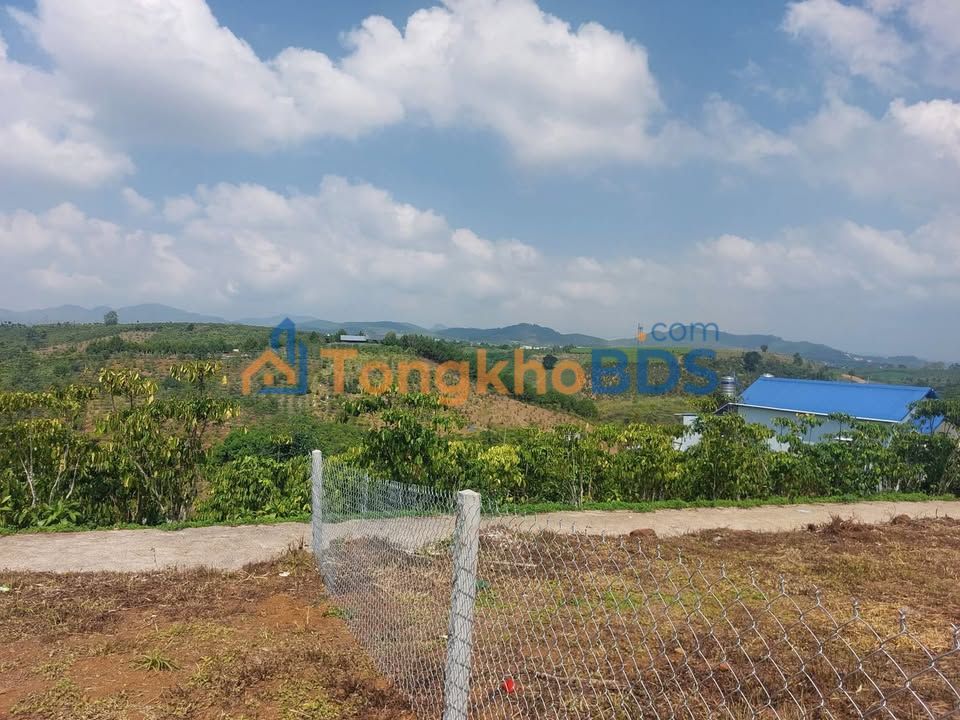 Đất nền Lê Phụng Hiểu Bảo Lộc 472m² 2.55 tỷ - Sổ đỏ chính chủ