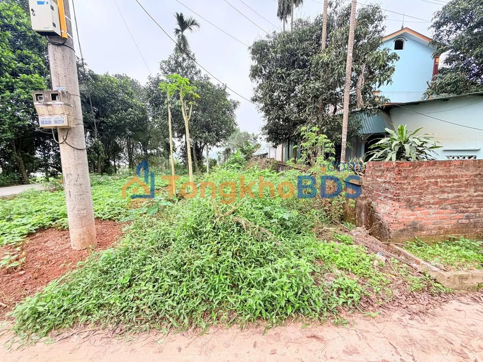 Đất nền Hạ Hòa Phú Thọ 117m² 600 triệu - Sổ đỏ chính chủ