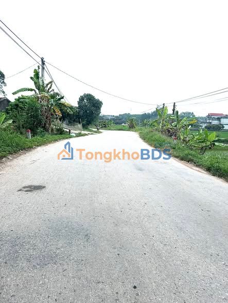 Đất nền TL268 Lạng Giang 200m² thỏa thuận - Sổ đỏ