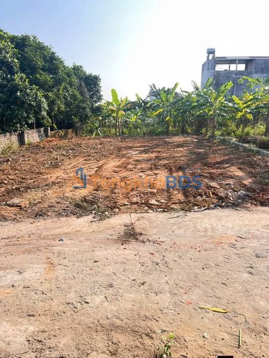 Đất nền Lan Mẫu Lục Nam 95m² 600-699 triệu, sổ đỏ chính chủ