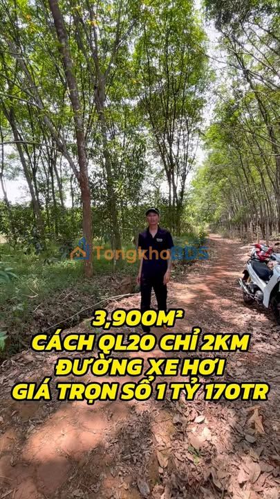 Đất La Ngà Định Quán 3.900m² 1.17 tỷ - Giá tốt hiếm có