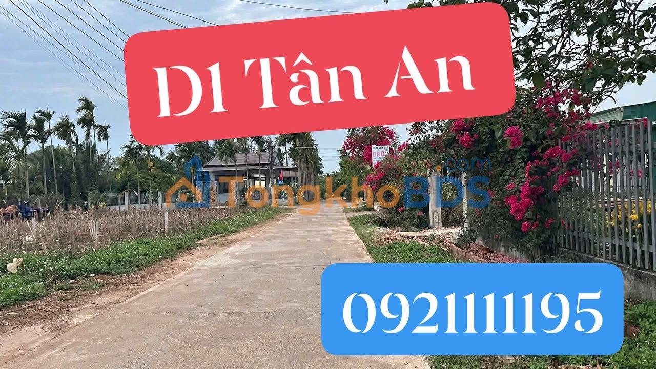 Đất nền D1 Tân An 60m² 1,55 tỷ - Vị trí đắc địa