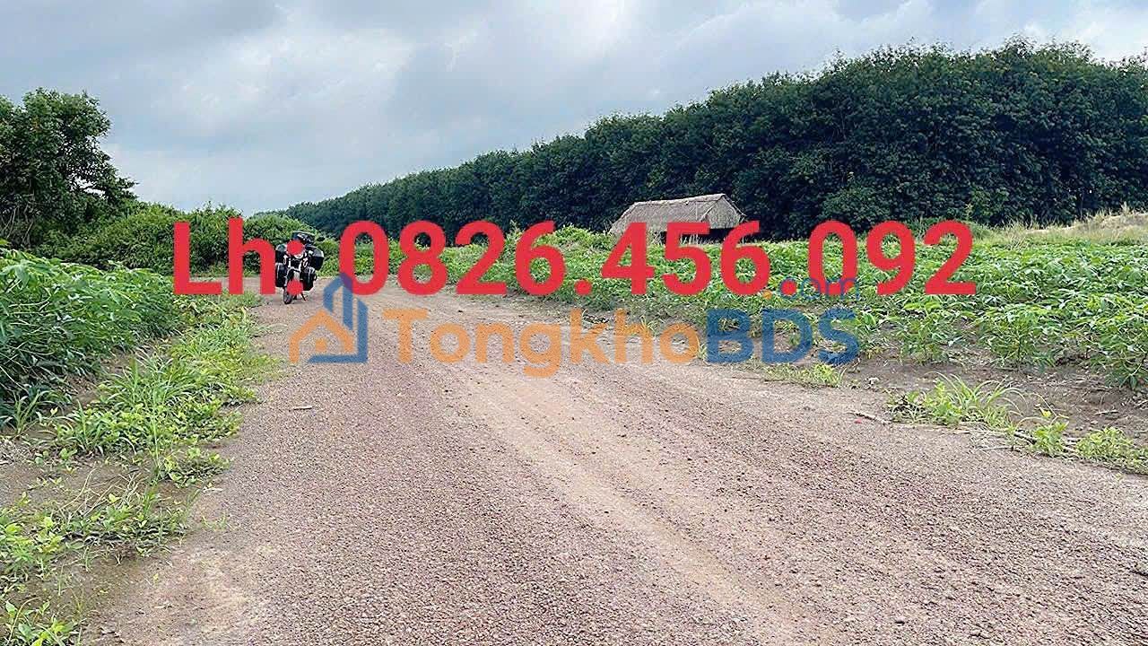 Đất nền Tân Thành Đồng Xoài 175m² 2xx triệu - Sổ đỏ chính chủ