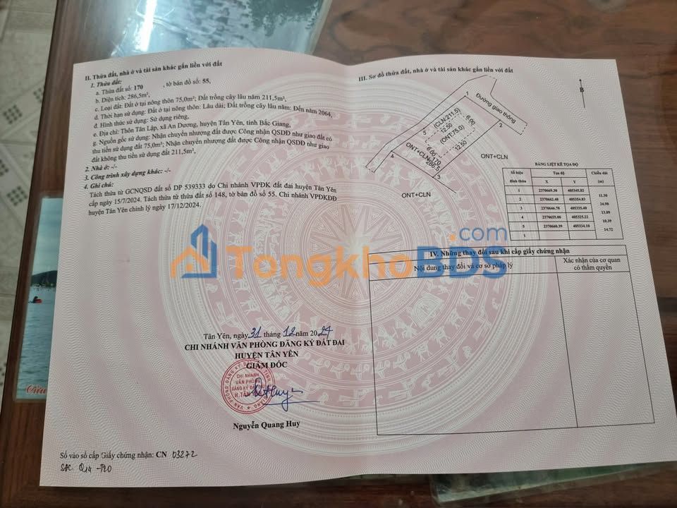 Đất nền Tân Lập An Dương 303m² - Sổ đỏ chính chủ