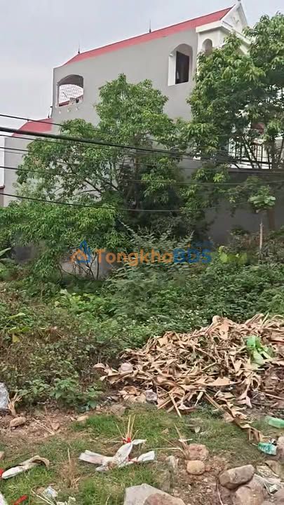 Đất nền Phượng Sơn Lục Ngạn 96m² 2 tỷ - Sổ đỏ chính chủ