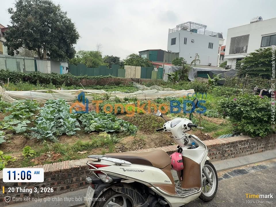 Đất nền Phúc Hòa Phúc Thọ 300m² thương lượng, đường to ô tô