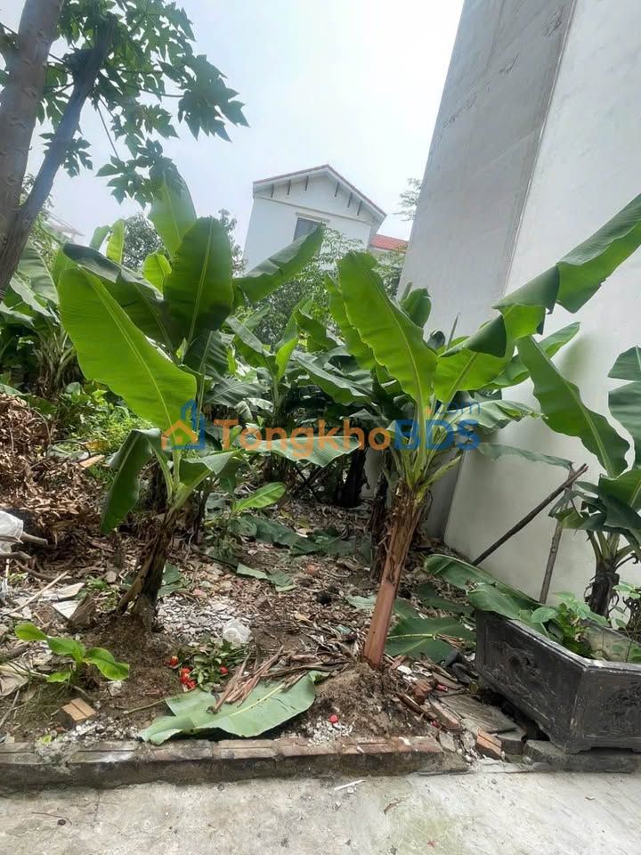 Đất nền Liên Mạc 40m² 4 tỷ - Sổ đỏ chính chủ