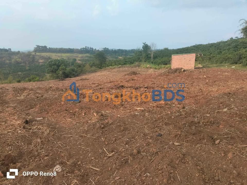 Đất vườn Hiệp Thạnh Đức Trọng 11.000m² 2.5 tỷ - Đầu tư dài hạn