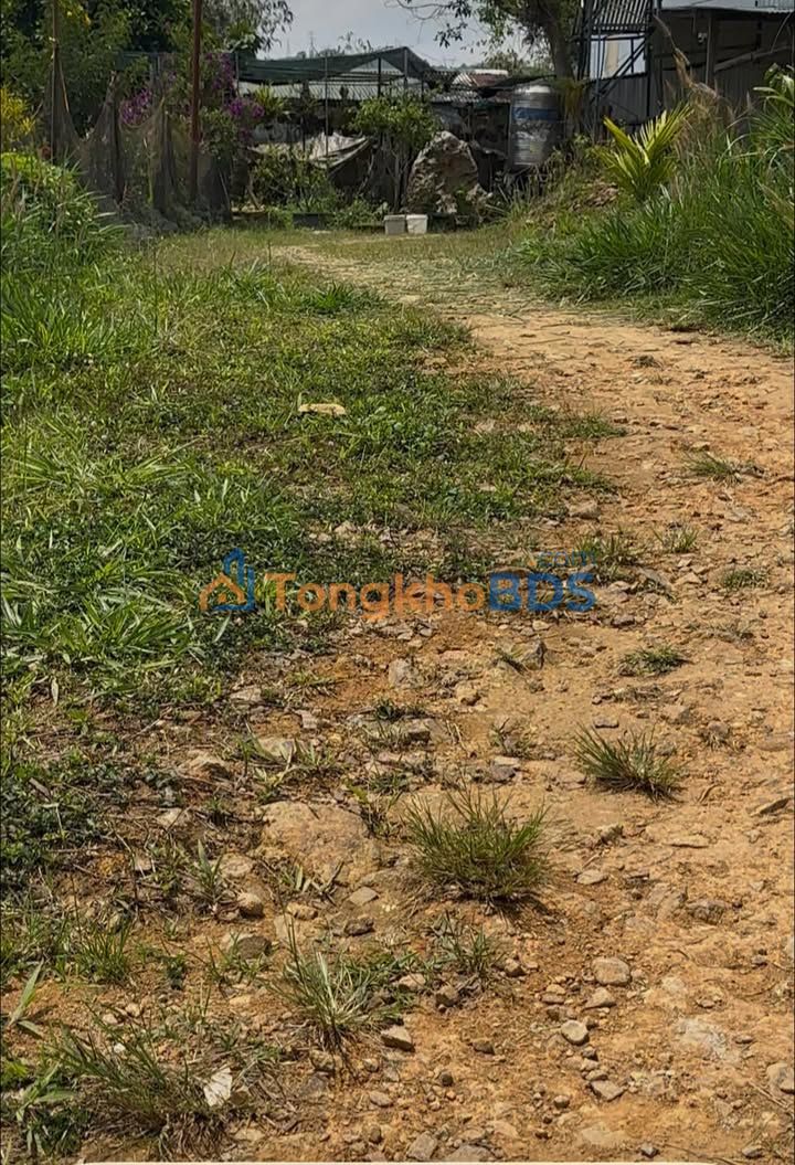 Đất nghỉ dưỡng Bảo Lộc QL P3 1.035m² 2 tỷ - Sổ đỏ chính chủ