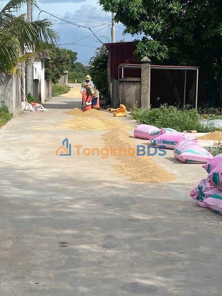 Bán đất Thường Tín 110m² - Gần KCN, tiềm năng tăng giá