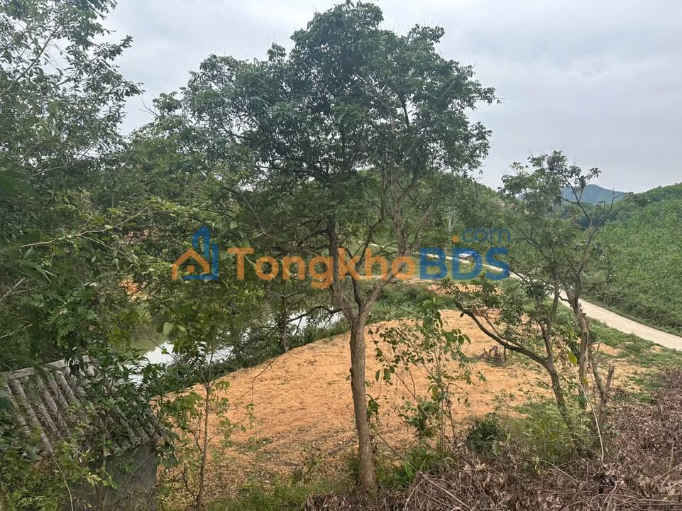 Đất nền Văn Hán Đồng Hỷ 10.848m² - Sổ đỏ chính chủ