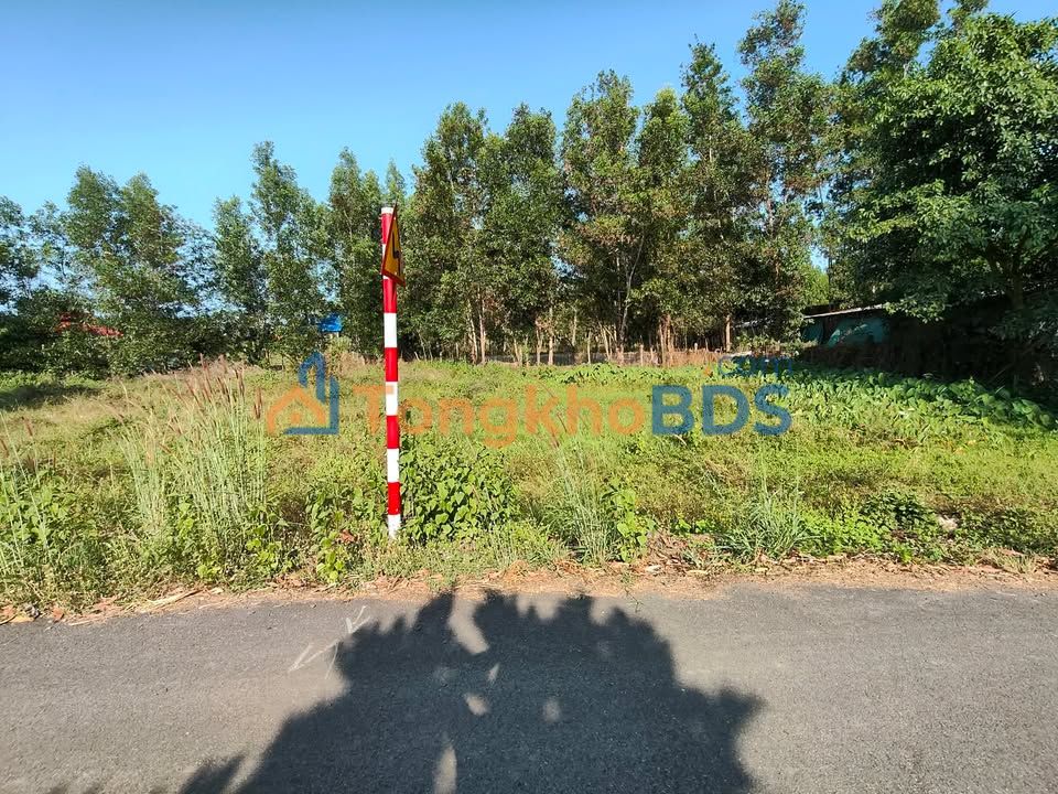 Đất nền Hòa Hội Xuyên Mộc 1287m² 1.56 tỷ - Đường ô tô