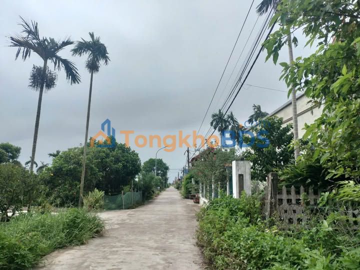 Đất Xóm 2 Hải Quang 174m² 1 tỷ - Sổ đỏ chính chủ yên tĩnh