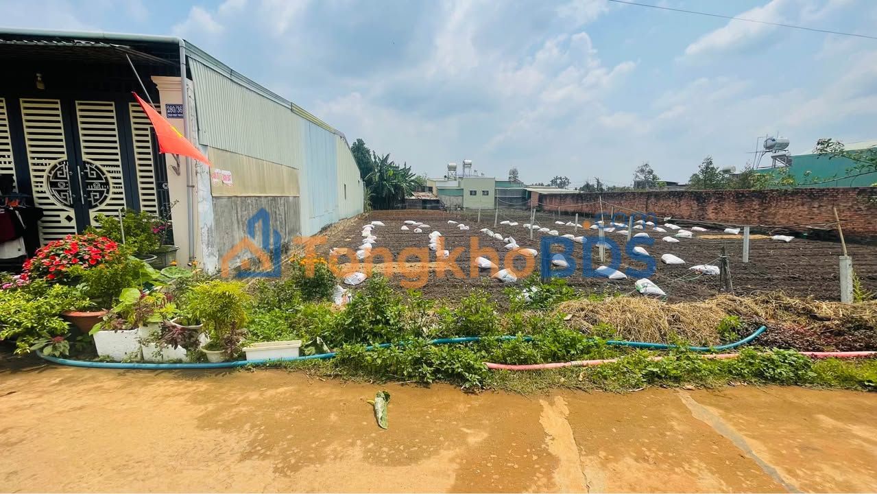 Đất nền Pleiku Phạm Ngọc Thạch 100m² 1.5 tỷ - Sổ đỏ chính chủ