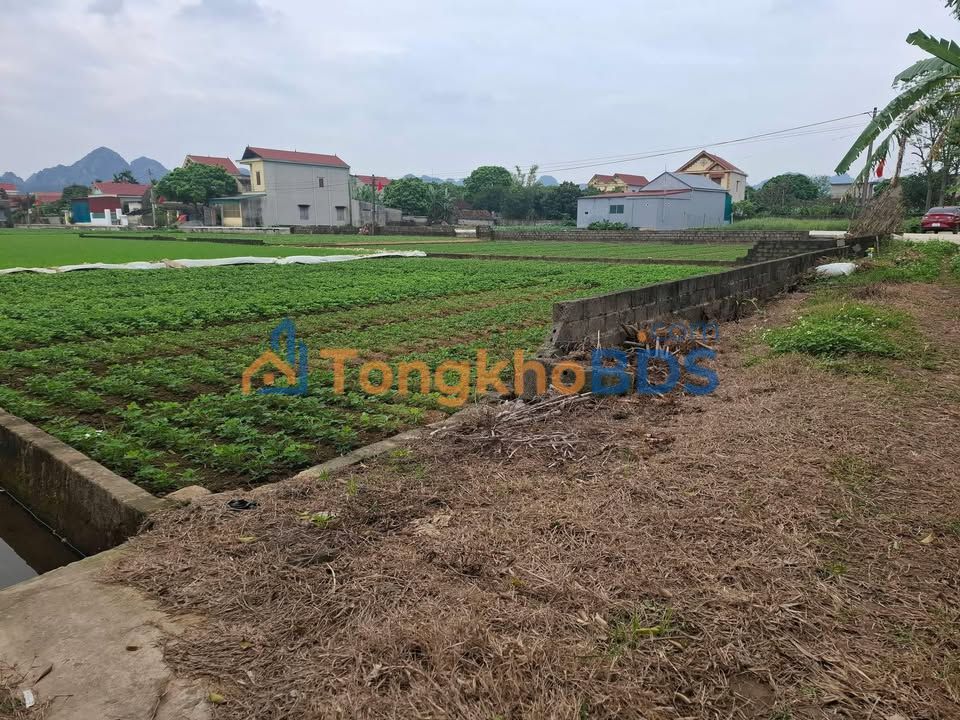 Đất nền Yên Thái Ninh Bình 96m² 4xx triệu - Sổ đỏ chính chủ