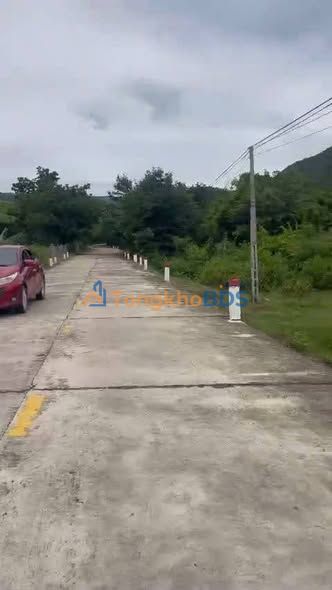 Bán Đất Vườn Ninh Thuận 5ha Mặt Tiền TL705, Bác Ái - Sẵn Sổ Đỏ, Giá Đầu Tư