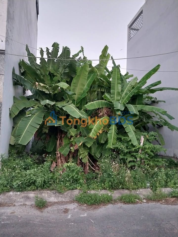 Đất nền Phú Xuân Nhà Bè 84m² 4,6 tỷ - Đường ô tô