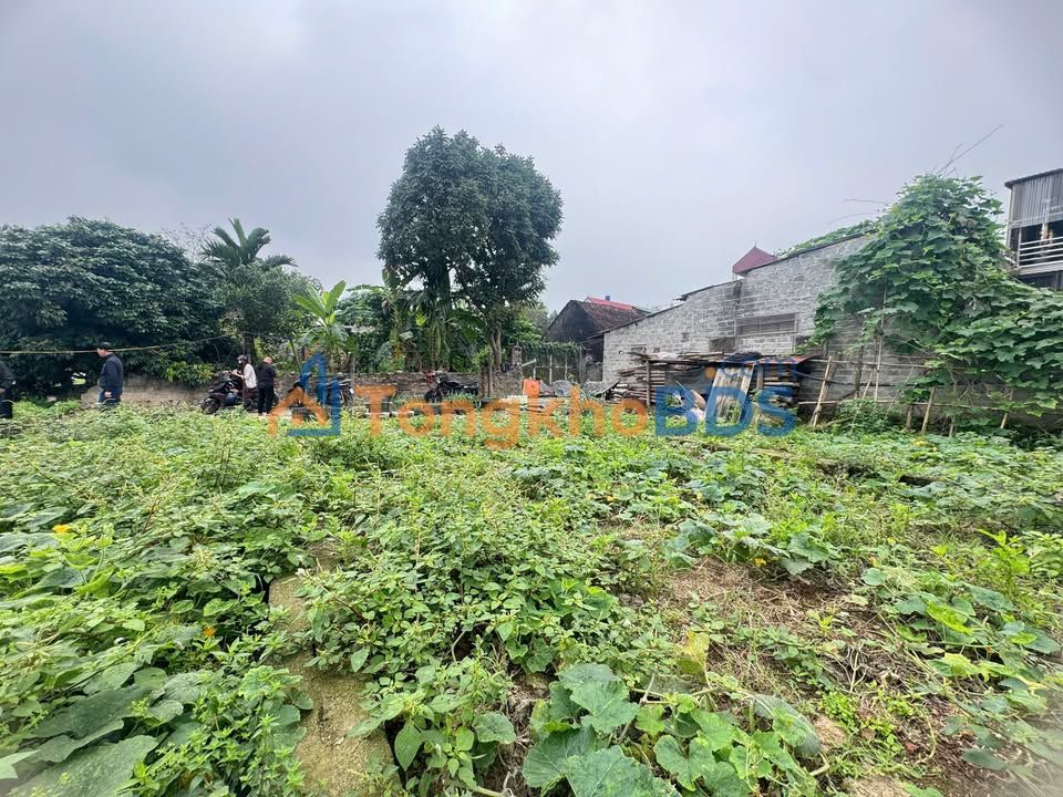 Đất nền Mỹ Đức 80m² 0,9 tỷ - Hạ tầng hoàn thiện