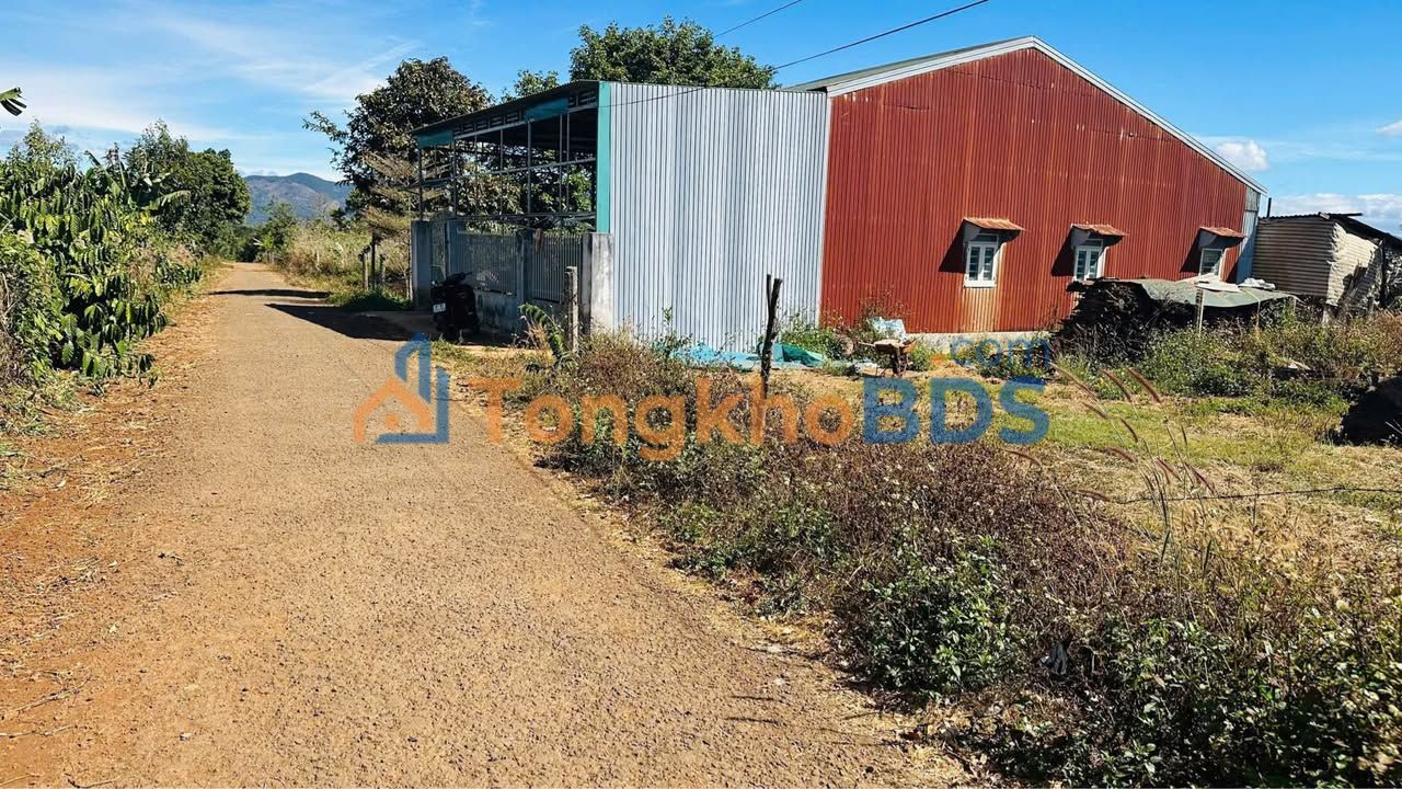 Đất Nền Làng Dút, Pleiku - 260m² Sổ Đỏ, Giá Chỉ Từ 4xx Triệu