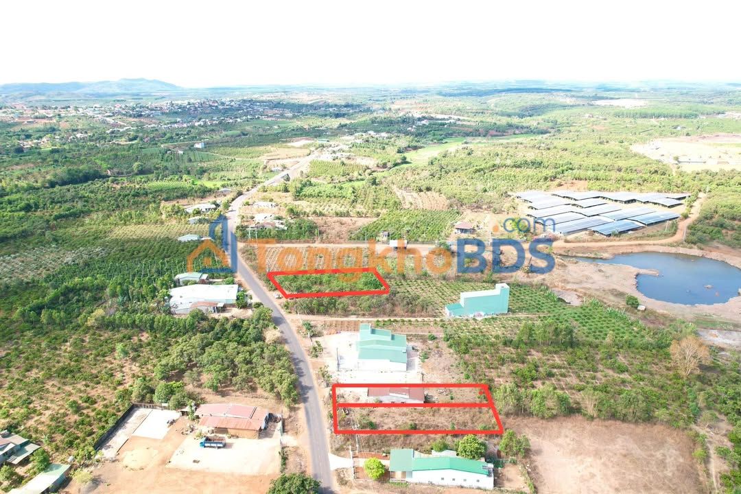 Bán Gấp 2 Lô Đất Vàng Mặt Đường Liên Huyện Ia Grăng, Gia Lai - 1000m², 1.35 Tỷ