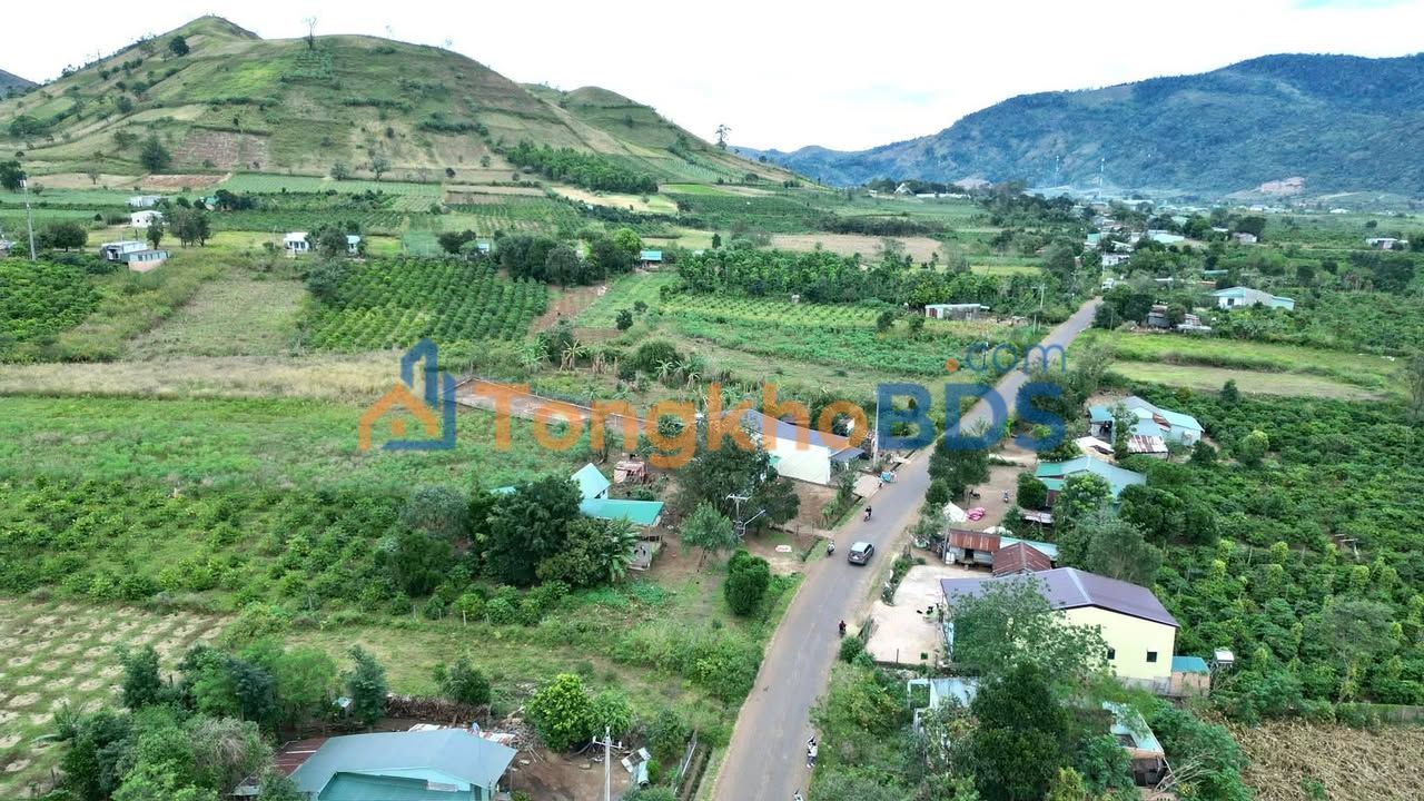 Đất nền Biển Hồ Pleiku 1.800m² giá 1 tỷ - Đường to ô tô