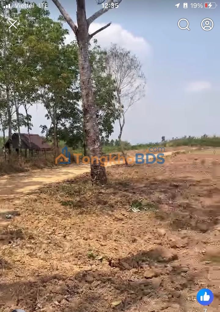 Đất nền Đăk Sơmei Gia Lai 2,5ha 1,25 tỷ - Giá tốt hiếm có