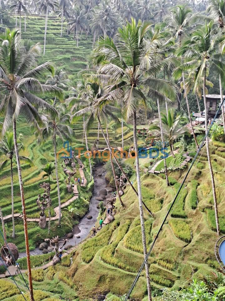 Farm Xã Trang Đăk Đoa 1.440m² - Sinh thái xanh đầu tư