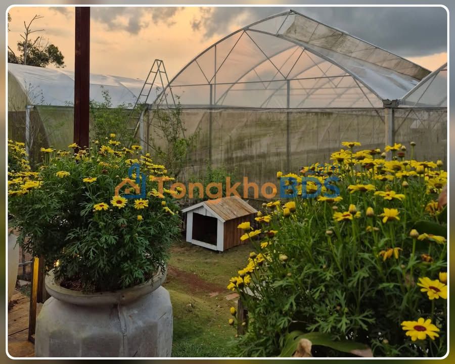 Đất Nguyễn Thị Định Quy Nhơn 400m² 40 triệu - Đường to ô tô