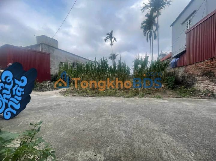 Đất nền Thái Thịnh, Thái Thụy 91.5m² - Sổ đỏ sẵn sàng, giá chỉ 5xx triệu