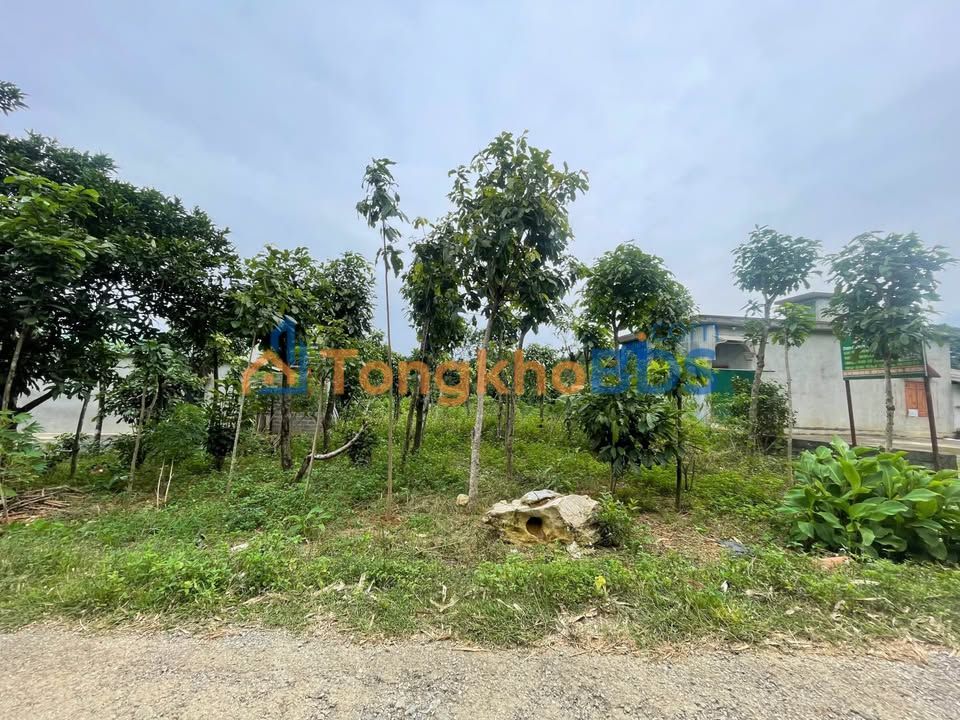 Đất nền Tú Sơn Kim Bôi 500m² 800 triệu - Sổ đỏ chính chủ