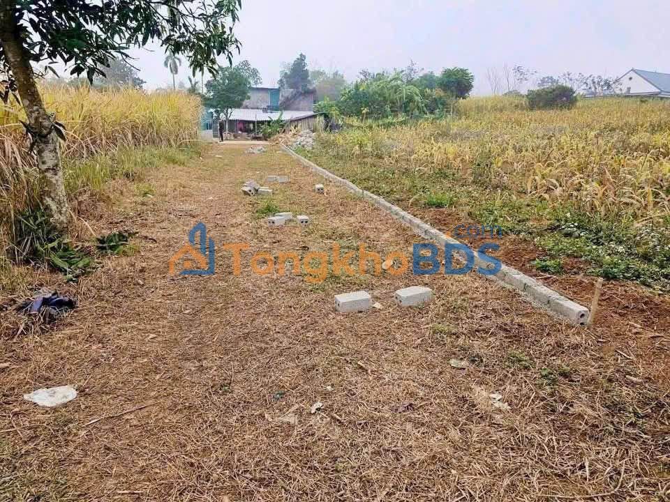 Đất nền Hợp Phong Cao Phong 1255m² 999 triệu - Sổ đỏ chính chủ