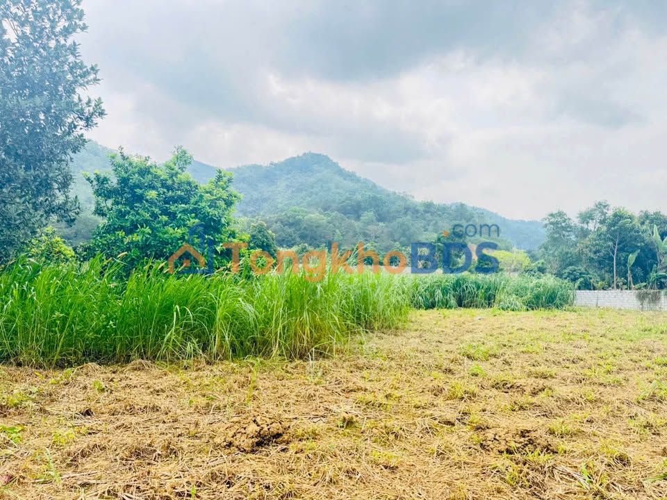 Đất nền Ba Vì 1080m² - Sổ đỏ sẵn sàng, view đẹp lý tưởng