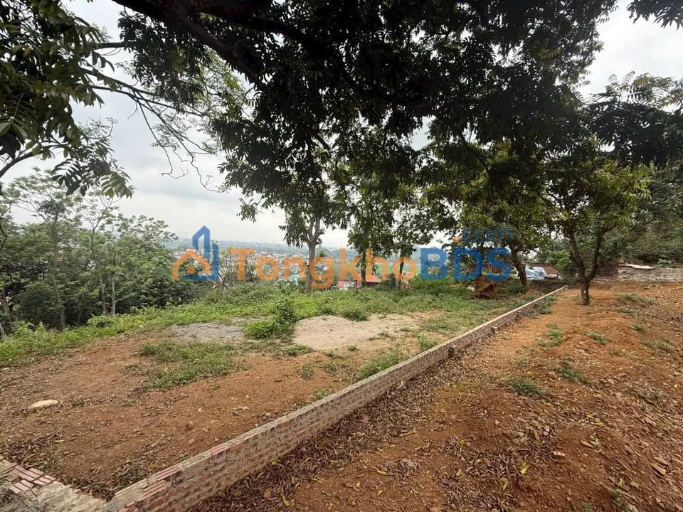 Đất nền Tiên Phương Chương Mỹ 100m² 1 tỷ - Tiềm năng tăng giá