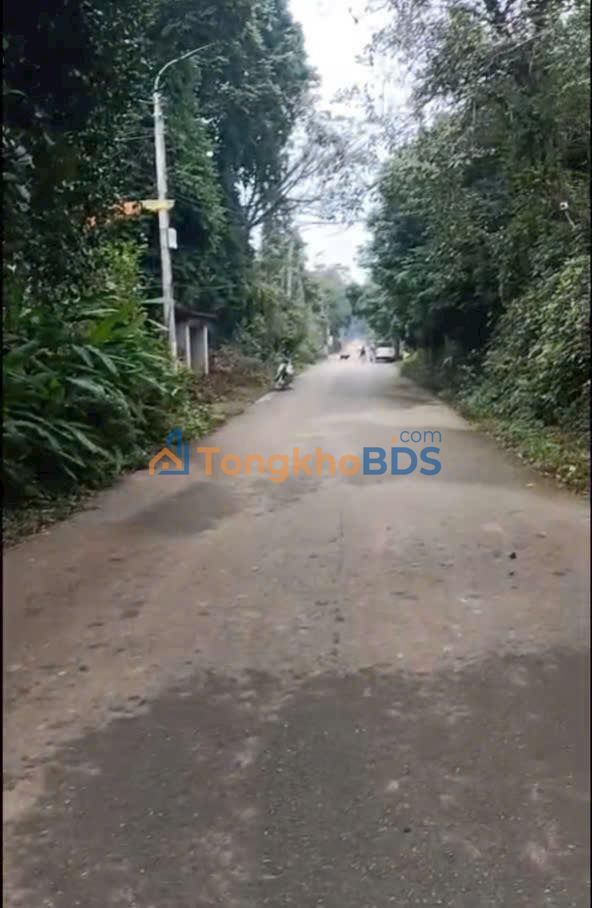 Đất nền Kim Sơn Sơn Tây 300m² 3 tỷ - Sổ đỏ chính chủ