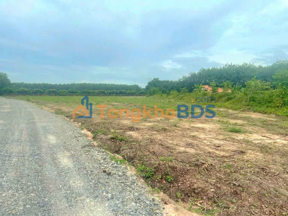 Đất Cẩm Giang Gò Dầu 140m² 240 triệu - Sổ đỏ chính chủ