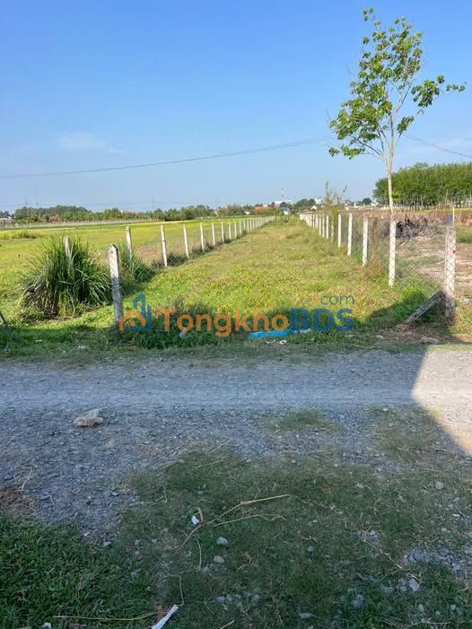 Đất nền Trảng Bàng 812m² 1.25 tỷ - Sổ đỏ chính chủ