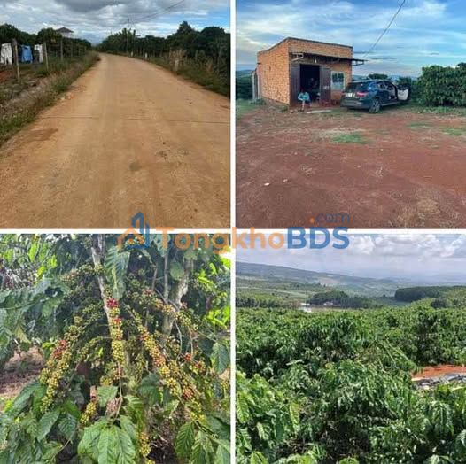 Đất vườn Tỉnh lộ 725B Lâm Hà 1.5ha 8.7 tỷ - Sổ đỏ