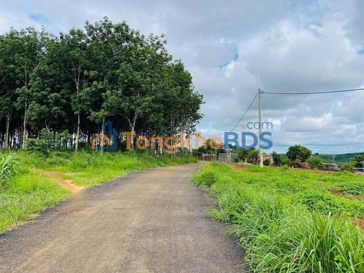 Đất nền Đắk Wer 1.200m² 900tr - Sổ đỏ chính chủ