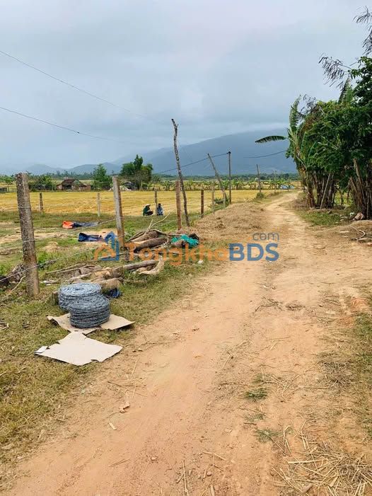 Đất nền Thôn Tân Bình Bình An 136m² 250 triệu - Giá tốt hiếm có