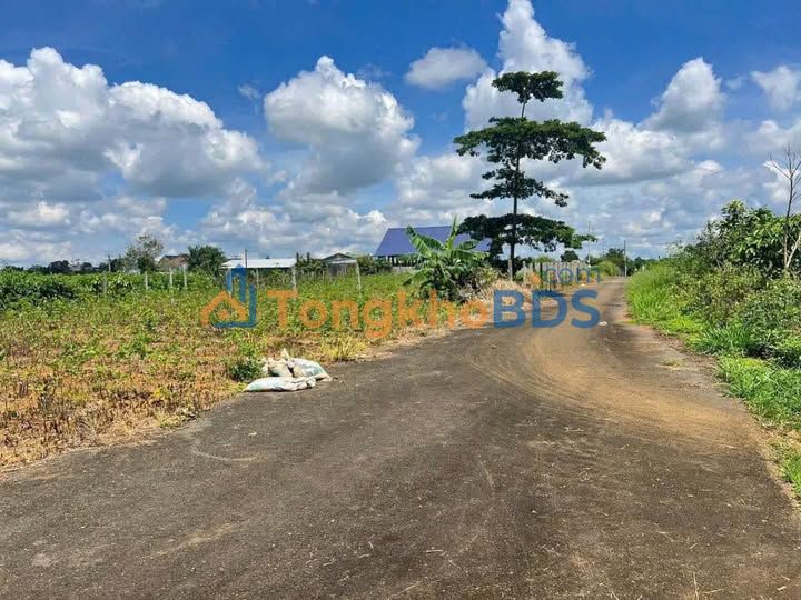 Đất nền Bảo Lộc 200m² 0,78 tỷ - Sổ đỏ chính chủ