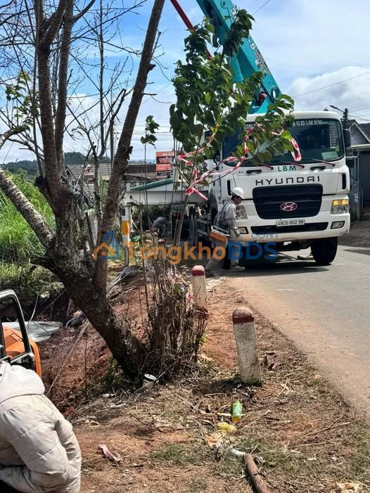 Đất nền Xuân Thọ Đà Lạt 600m² 7,5 tỷ - Sổ đỏ chính chủ