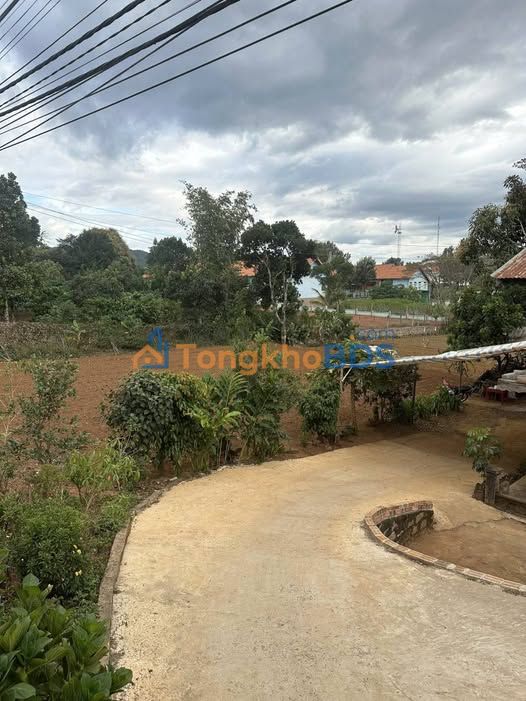 Đất nền Tà Nung 3.000m² 9.6 tỷ - Sổ đỏ chính chủ, xây dựng tự do