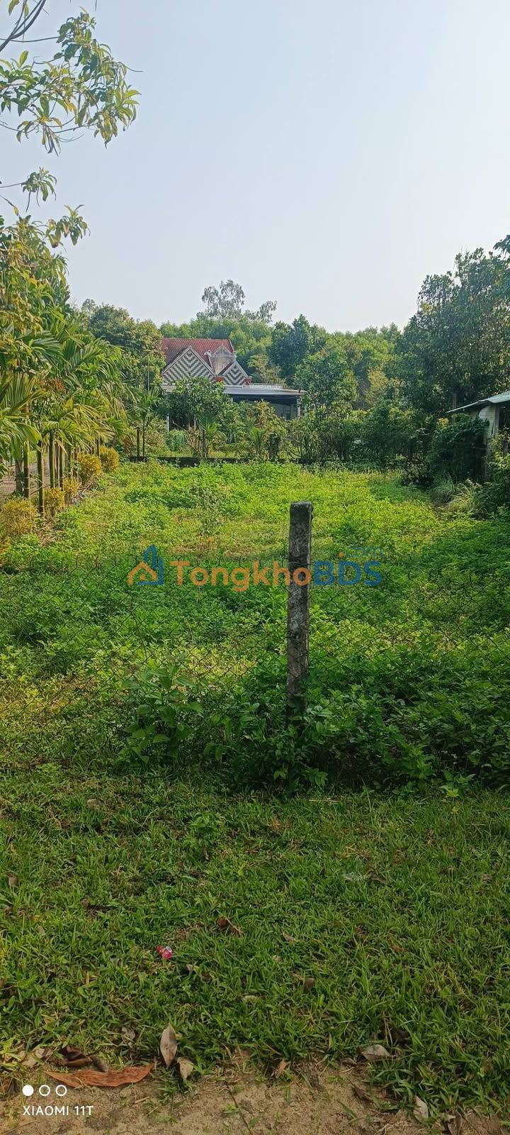 Đất Nền Mặt Tiền Đường DH8, Tam Thái, Quảng Nam - 210m² Giá Tốt