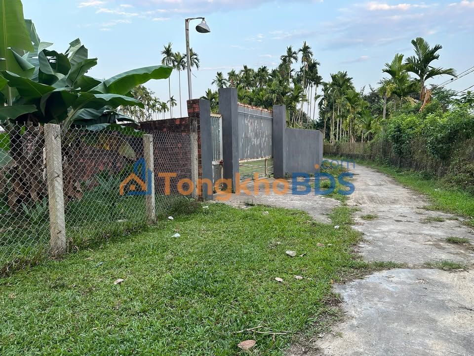 Đất Vườn Tam Phước - Sổ Đỏ 535m² Gần Công Ty Cầu Lông, Giá Tốt