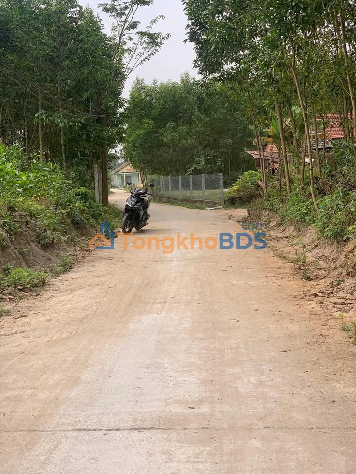 Đất nền Quế Mỹ Quế Sơn 115m² 3xx triệu - Sổ hồng sẵn