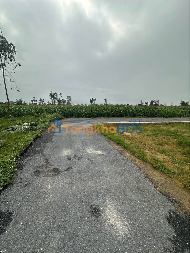 Đất nền Thịnh Trường Nghi Lộc 100m² 1.3 tỷ - Sổ đỏ