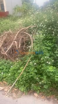 Đất nền Phan Sào Nam Phù Cừ 171m² 2 tỷ - Sổ đỏ chính chủ