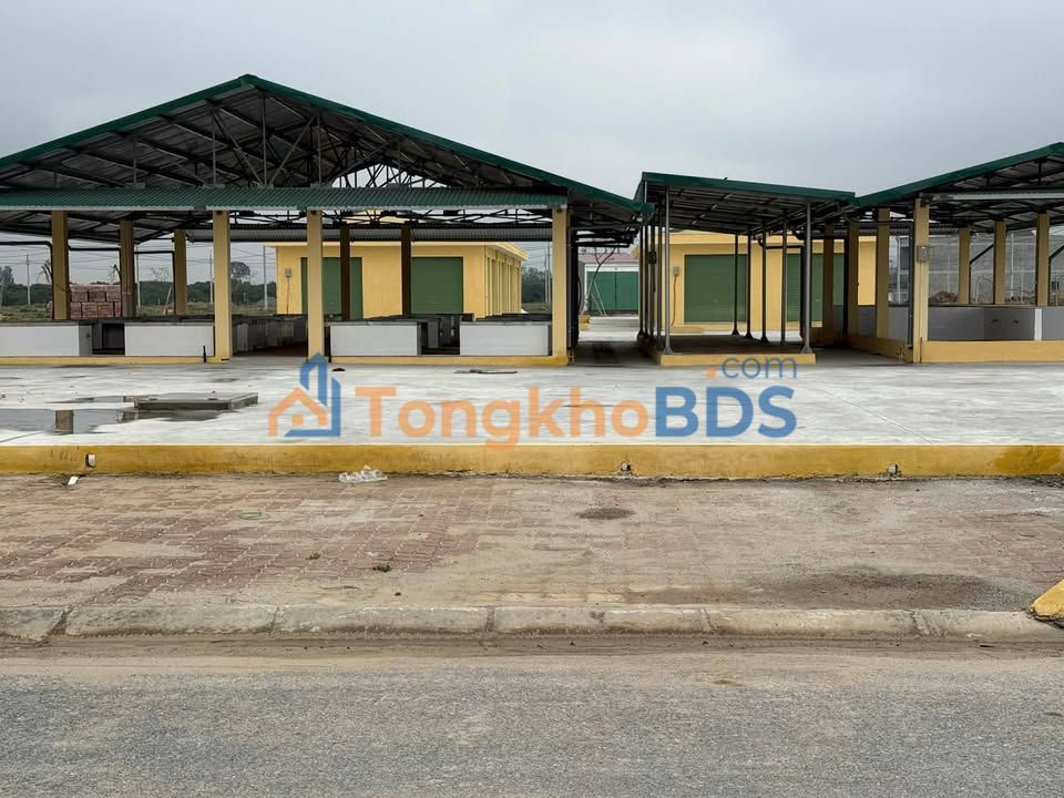 Đất nền Tống Trân Hưng Yên 100m² 2-2.1 tỷ - Tiềm năng tăng giá